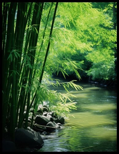 Plakat 50x65cm Spokój Bambusów na Arena.pl