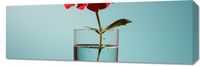 Obraz 90x30cm Kwiat w Szkle