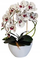 Storczyk sztuczny orchidea kwiaty jak żywe bardzo starannie wykonane guma