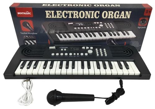 Duże organki, keyboard z mikrofonem na Arena.pl