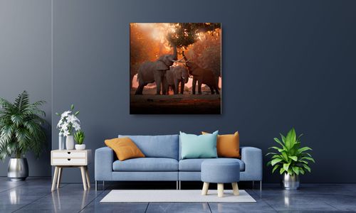 OBRAZ NA PŁÓTNIE 092 Słonie 40x40cm na Arena.pl