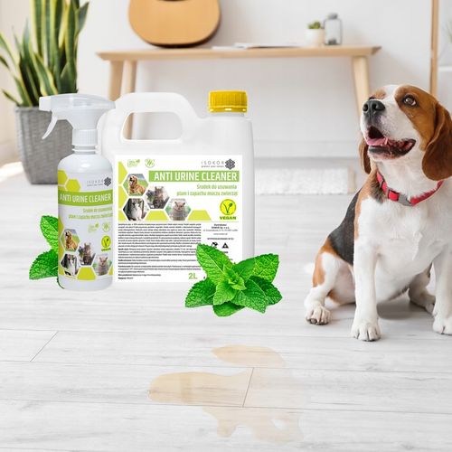 ISOKOR ANTI URINE NEUTRALIZATOR MOCZU PSA 2L+ 500ml USUWANIE ZAPACHU MOCZU na Arena.pl
