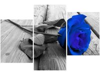 60 90CM OBRAZ 3 ELEM CHABROWA RÓŻYCZKA ŚCIENNY DRUK PŁÓTNO