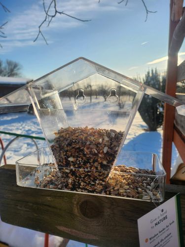 Karmnik dla ptaków na zimę na Arena.pl