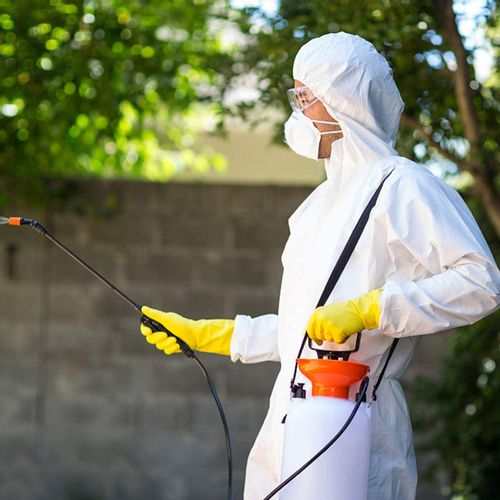 GOGLE OKULARY PRZECIWODPRYSKOWE OCHRONNE na Arena.pl