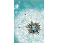 100 70CM OBRAZ PŁÓTNO PUSZYSTY DMUCHAWIEC PŁÓTNO RAMA