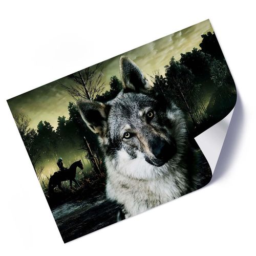 Plakat, Wilk na bagnach 60x40 na Arena.pl