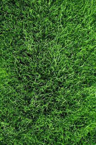 Wysokoazotowy nawóz do trawnika Vegano wspierany naturą 3x8 kg Target 24 kg na Arena.pl