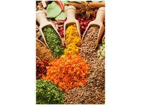 40X60CM FESTIWAL PRZYPRAW OBRAZ