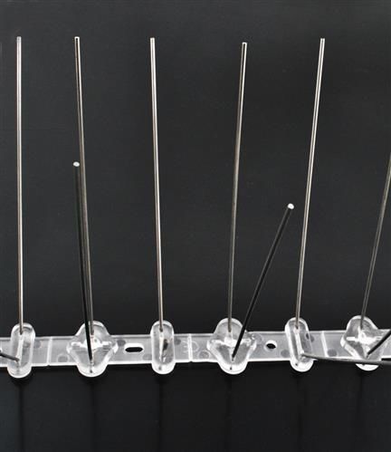 Kolce na ptaki na Arena.pl