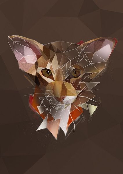 Kot szkic - plakat 50x70 cm zdjęcie 1