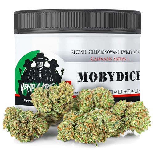 Susz konopny CBD | Mobidick | HOLENDER | 1g na Arena.pl