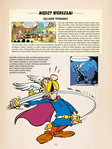 Asteriks. Tom 13. Asteriks i kociołek na Arena.pl