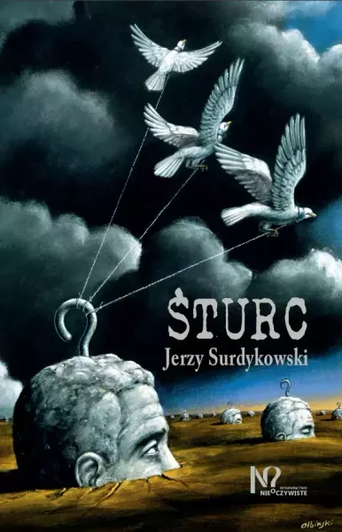 Śturc zdjęcie 1