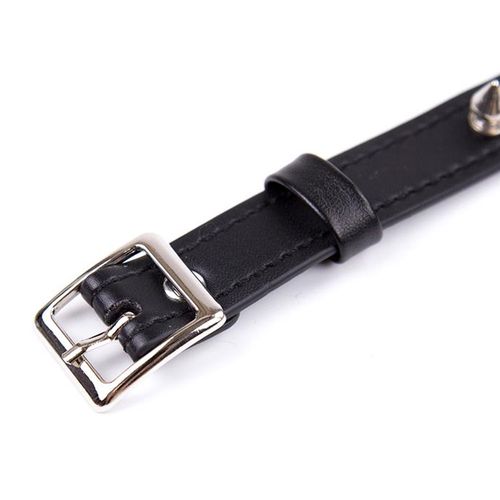 obroża z kolcami collar with spikes na Arena.pl