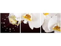 product-compare-58711316