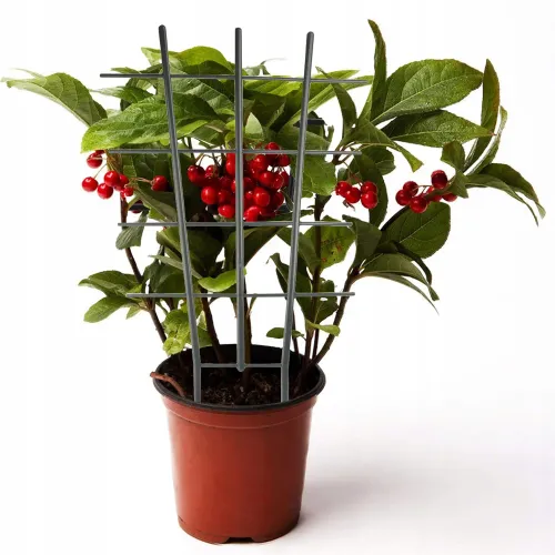 DRABINKA DO KWIATÓW 77CM GRANIT na Arena.pl