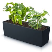 Skrzynka balkonowa wkład gładka 77x24cm antracyt