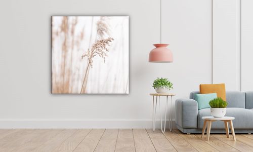 OBRAZ NA PŁÓTNIE 127 Źdźbło 30x30cm na Arena.pl