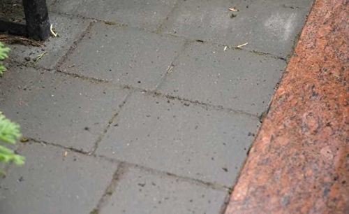 TENZI TopEfekt MOSS 1L na Arena.pl