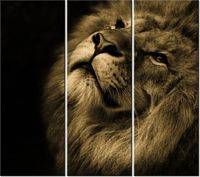 90CM 80 OBRAZ 3 ELEM ZŁOTY LEW ŚCIENNY