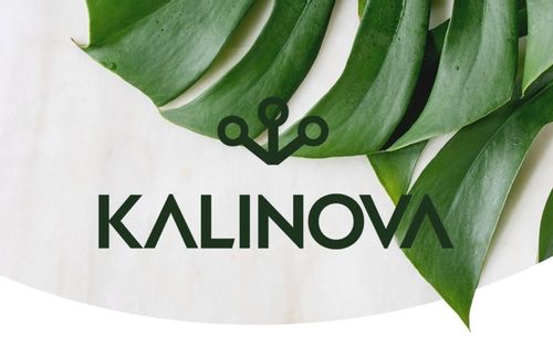 POLYVERSUM WP 5G ŚRODEK GRZYBOBÓJCZY PLEŚŃ FYTOFTOROZA PLAMISTOŚĆ 5g Target na Arena.pl