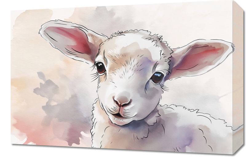 Obraz 60x40cm Mała Owieczka zdjęcie 1