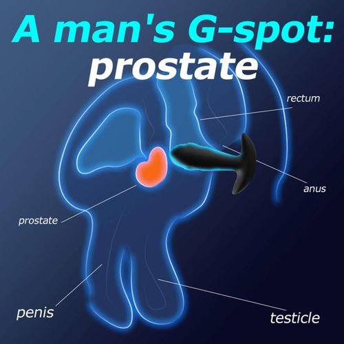 Dual tapping anal plug na Arena.pl