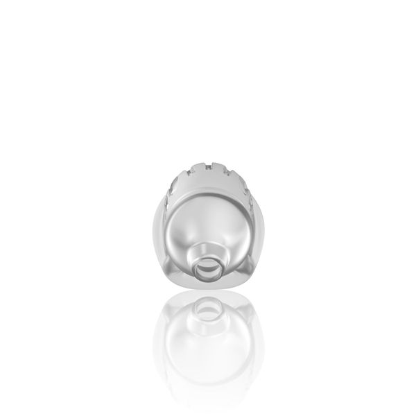 Model 29 - Tpe Chastity Cage - Transparent zdjęcie 2