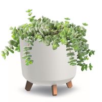 Donica okrągła wysoka na nóżkach biały mat