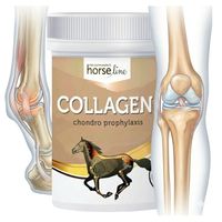 HorseLinePro COLLAGEN 300g KOLAGEN DLA KONI STAWY KOPYTA URAZY W