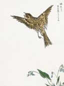 Plakat 15x20cm  Water-Pipit, Kashu Japoński Vintage do Salonu