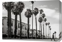 Obraz 70x50cm Spacer w Cieniu Palm