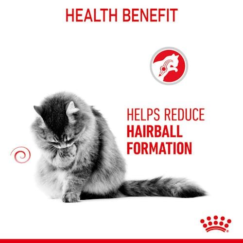 Royal Canin Hairball Care W Sosie Karma Mokra W Sosie Dla Kotów Dorosłych na Arena.pl
