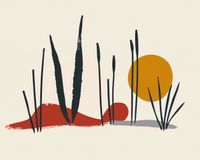 Plakat 50x40cm Trzcina przy Zachodzie