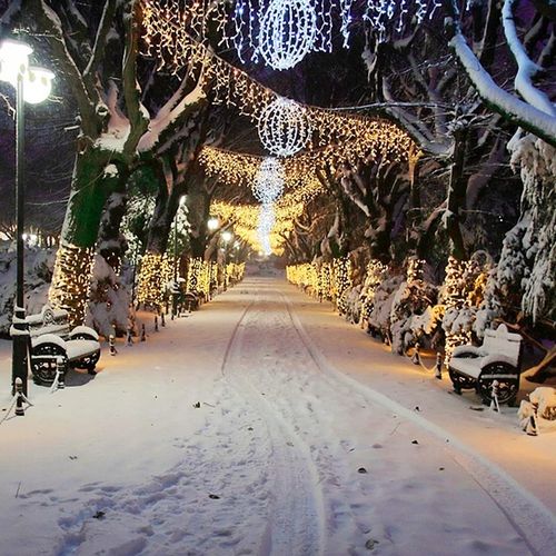 LAMPKI ZEWNĘTRZNE SOPLE CHOINKOWE 500 LED ŚWIATEŁKA ŚWIĄTECZNE +FLASH 22.5M na Arena.pl