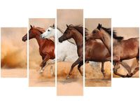 OBRAZ KONIE BIEGNĄCE GALOPEM