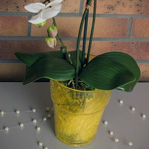 Doniczka Oslonka pod Storczyk ORCHID 14 żółta na Arena.pl