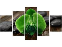 80CM 150CM OBRAZ 5 ELEM LIMONKOWY STORCZYK ŚCIENNY