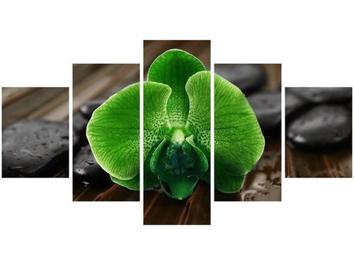 80CM 150CM OBRAZ 5 ELEM LIMONKOWY STORCZYK ŚCIENNY na Arena.pl