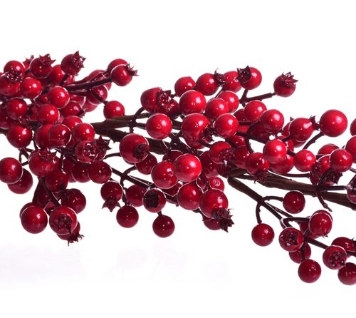 Girlanda głogu na Arena.pl