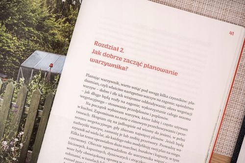 Plan na warzywnik - Jacek Naliwajek na Arena.pl