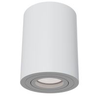 Lampa nastropowa tuba Atom C016CL-01W regulacja kąta światła biała
