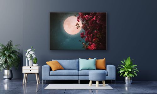 OBRAZ NA PŁÓTNIE 049 Księżyc 30x20cm na Arena.pl