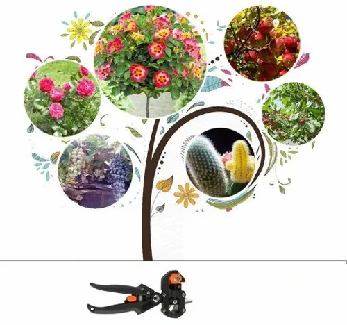 ZESTAW SEKATOR NOŻYCE NOŻYCZKI OGRODOWE DO SZCZEPIEŃ OKULIZACJI DRZEW ETUI na Arena.pl