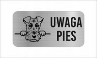 GRAWER Tabliczka laminat 20x10 cm UWAGA PIES Foksterier