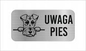 GRAWER Tabliczka laminat 20x10 cm UWAGA PIES Foksterier