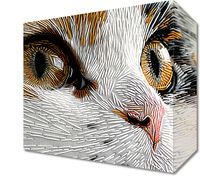 Obraz 20x20cm Nitkowany Kot