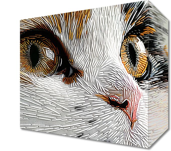 Obraz 20x20cm Nitkowany Kot zdjęcie 1