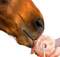 Sól himalajska lizawka solna dla koni bydła zwierząt KRYSZTAŁY SOLI